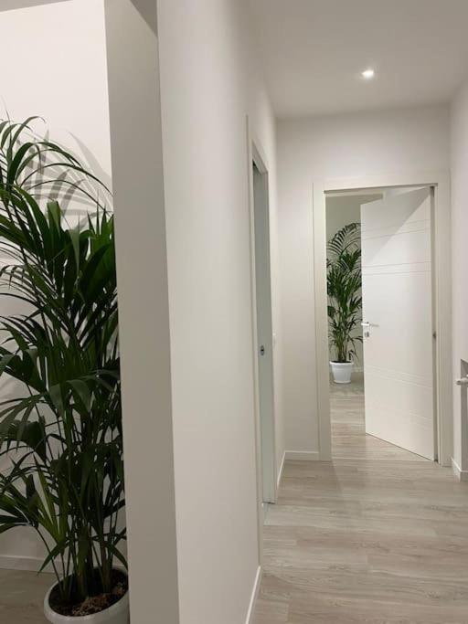 Romanapartments Mestre Zewnętrze zdjęcie